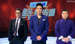 鲜厨驾到在线观看,一场味蕾与视觉的盛宴之旅