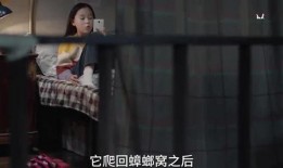 三姐姐爆料视频大全最新